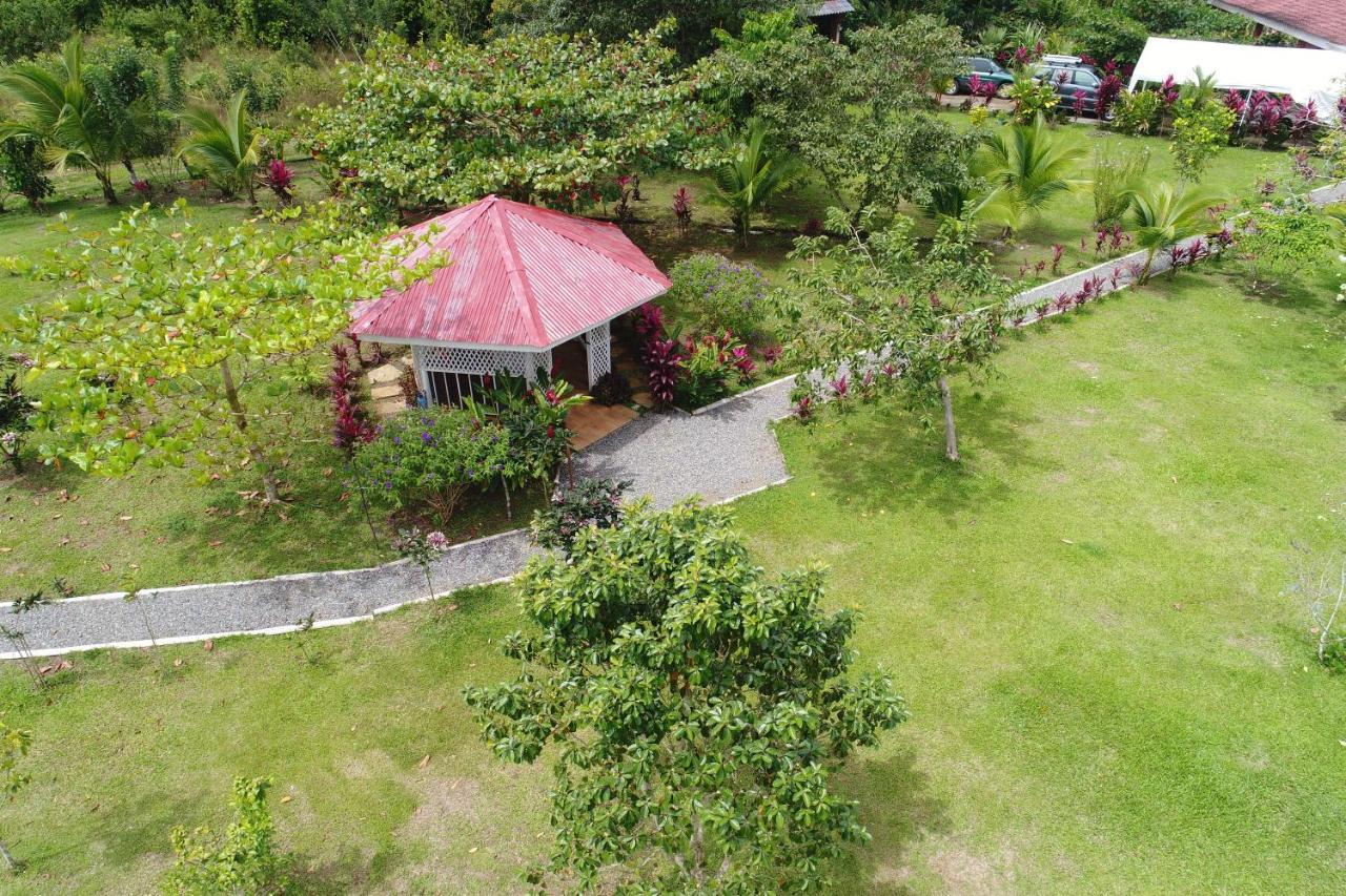 Hope Garden, Sarapiqui, We Connect You With The Sarapiqui Tropical Forest Ngoại thất bức ảnh