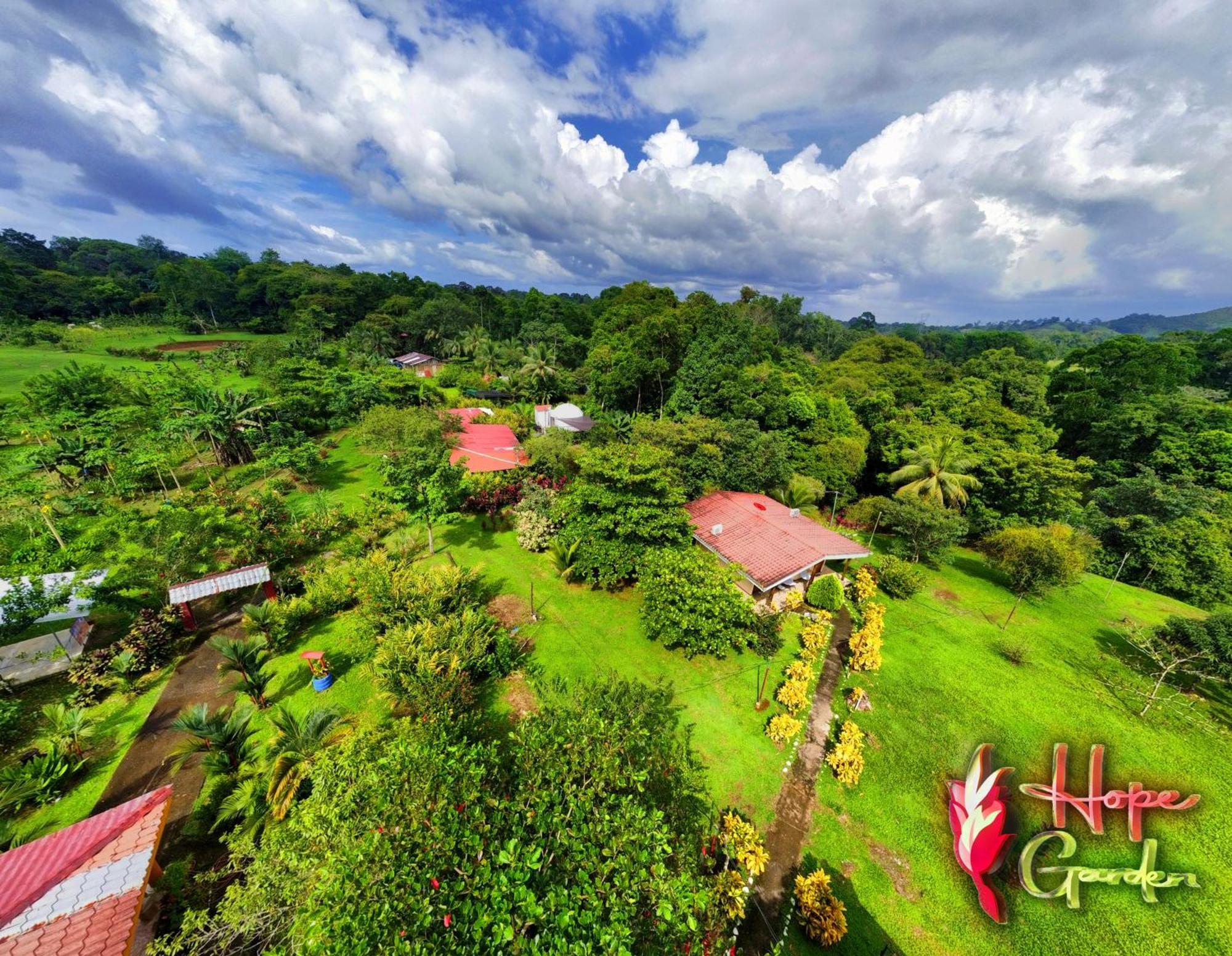 Hope Garden, Sarapiqui, We Connect You With The Sarapiqui Tropical Forest Ngoại thất bức ảnh