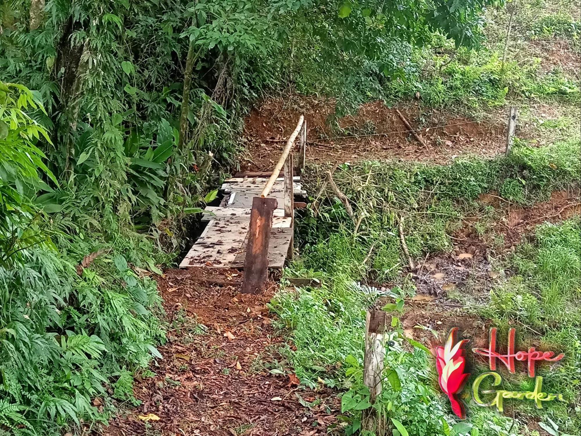 Hope Garden, Sarapiqui, We Connect You With The Sarapiqui Tropical Forest Ngoại thất bức ảnh