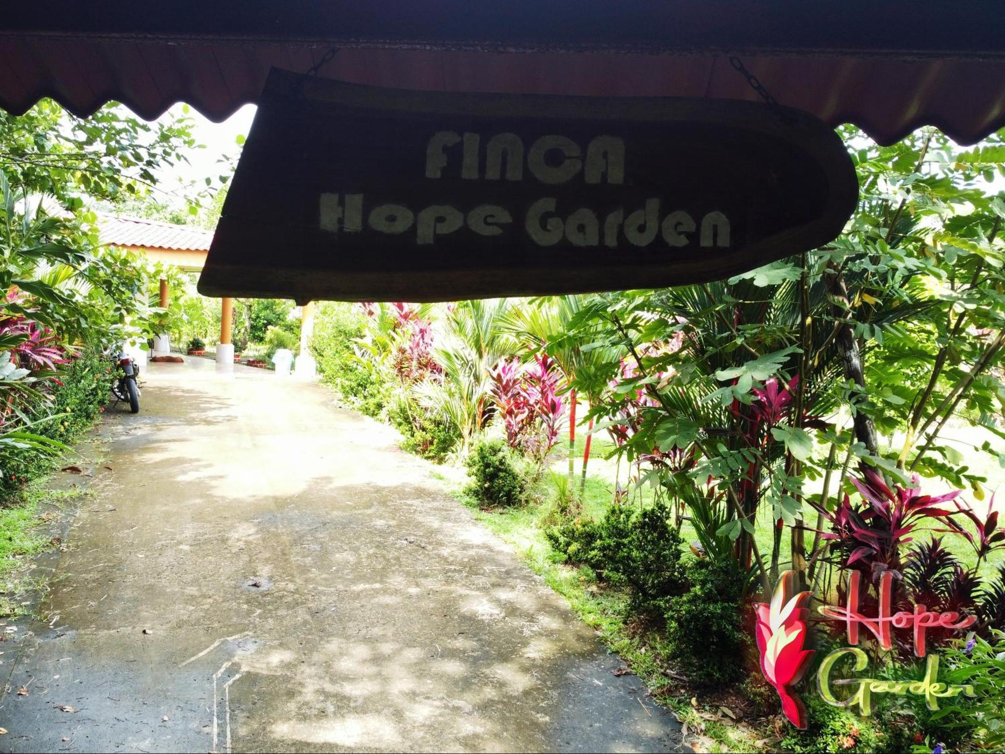 Hope Garden, Sarapiqui, We Connect You With The Sarapiqui Tropical Forest Ngoại thất bức ảnh