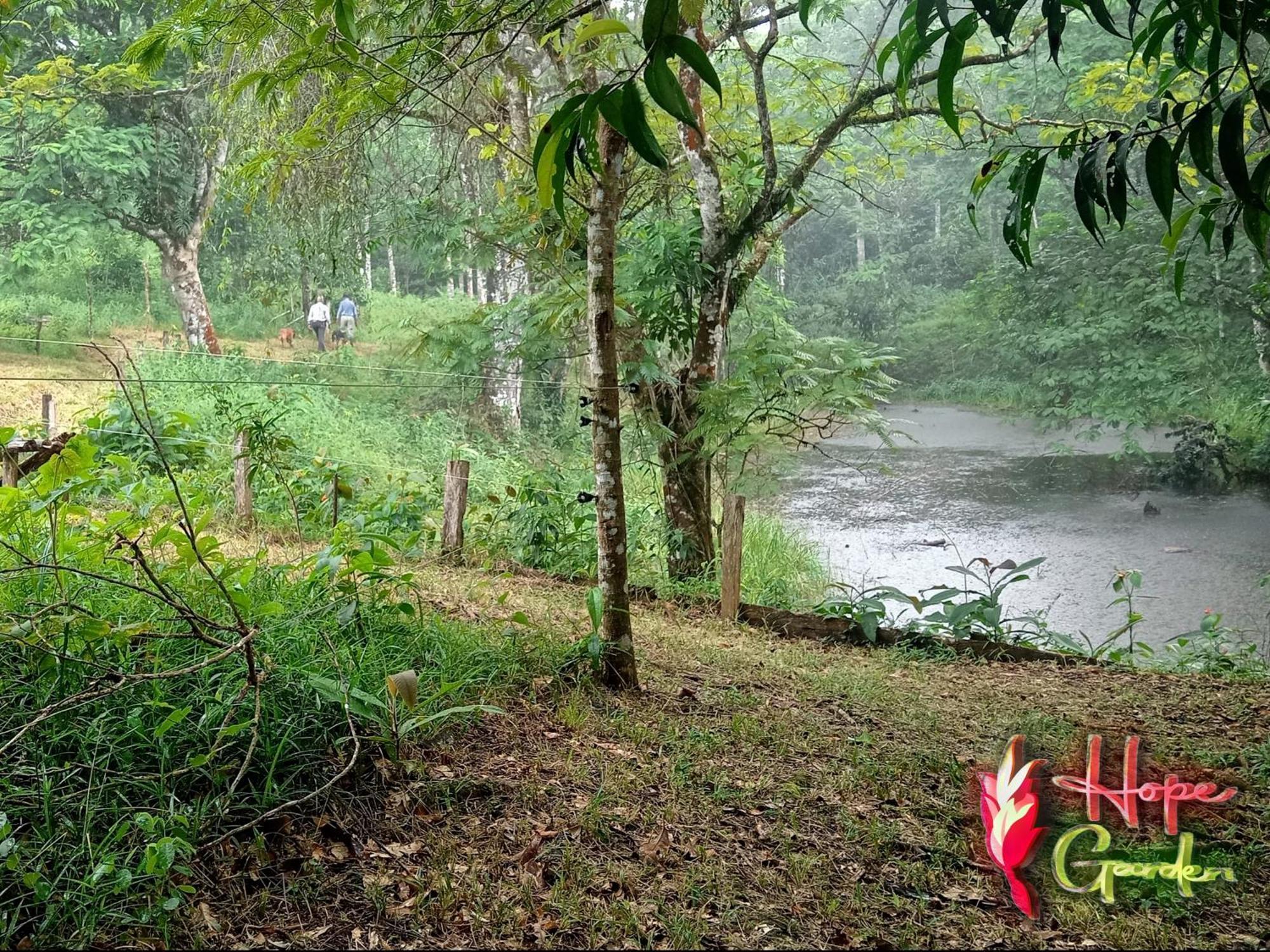 Hope Garden, Sarapiqui, We Connect You With The Sarapiqui Tropical Forest Ngoại thất bức ảnh