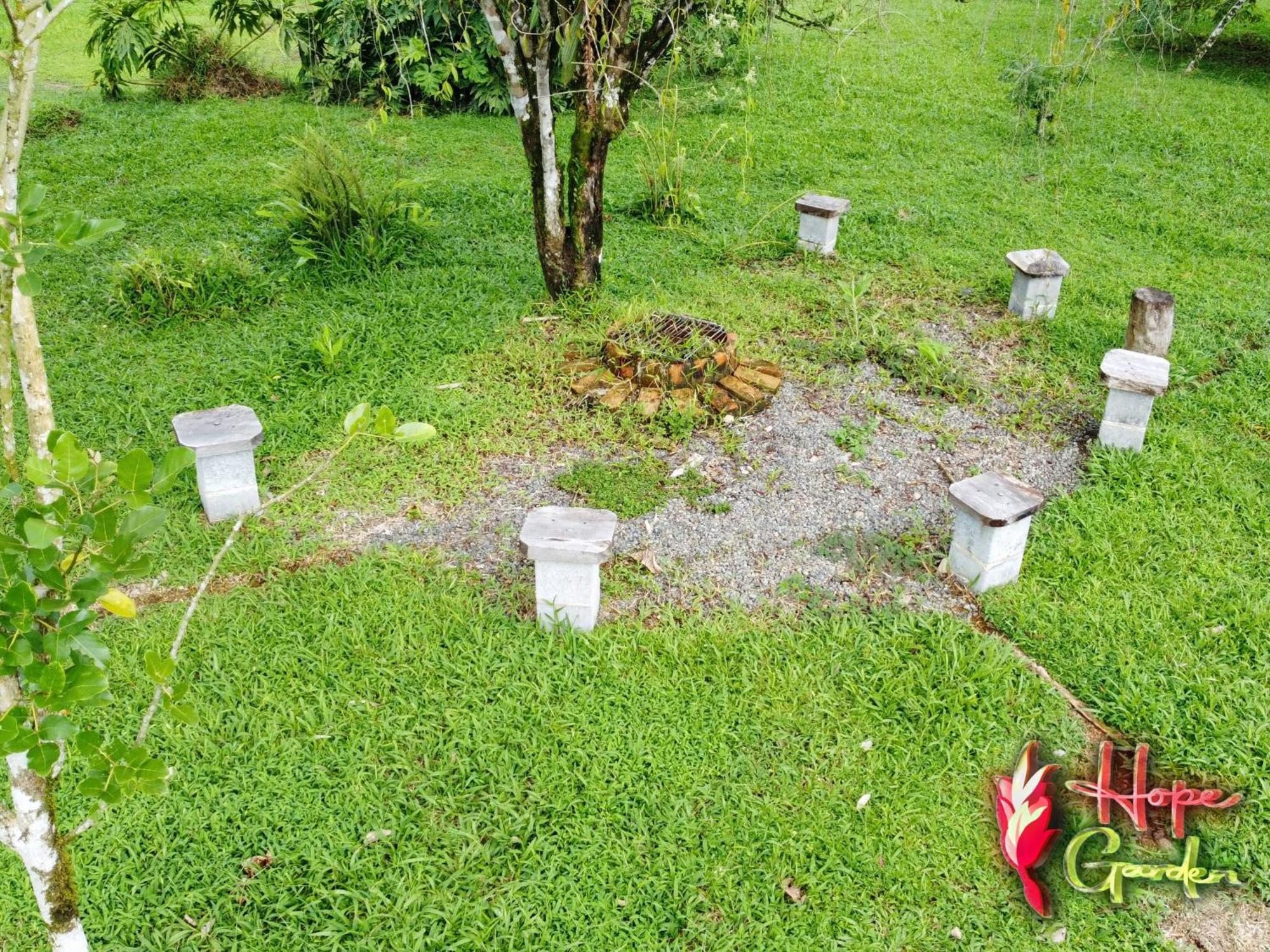 Hope Garden, Sarapiqui, We Connect You With The Sarapiqui Tropical Forest Ngoại thất bức ảnh