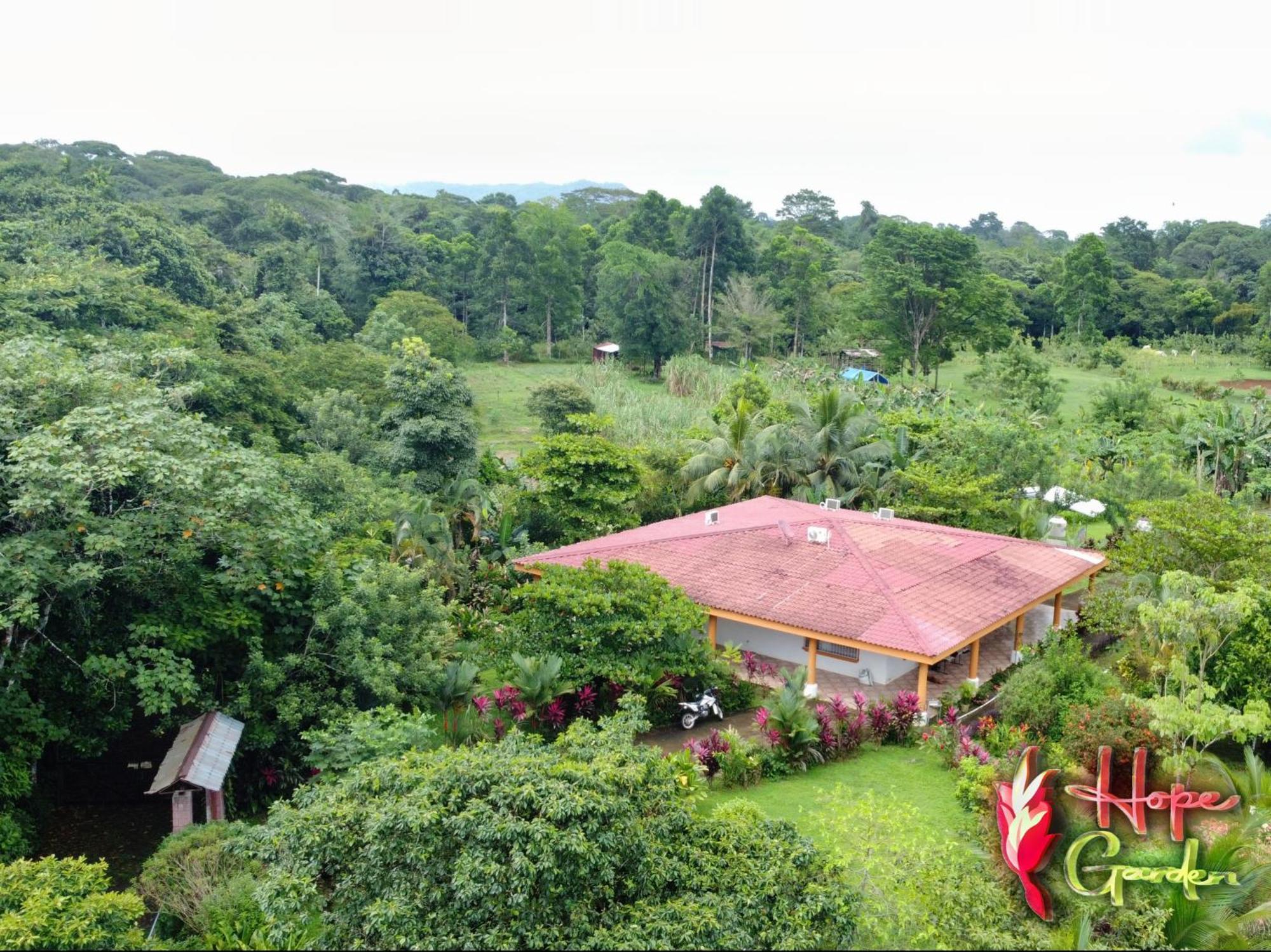 Hope Garden, Sarapiqui, We Connect You With The Sarapiqui Tropical Forest Ngoại thất bức ảnh