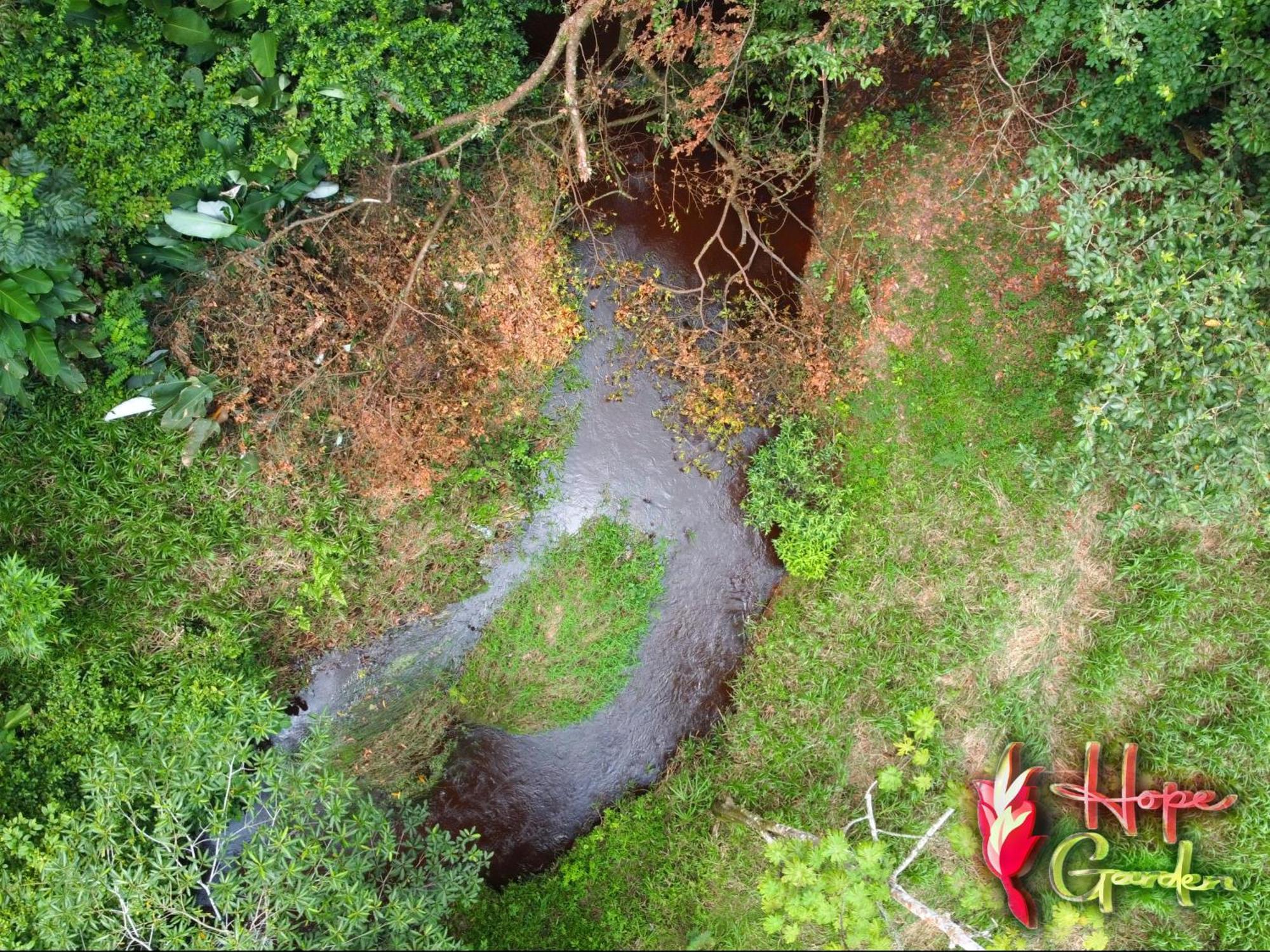 Hope Garden, Sarapiqui, We Connect You With The Sarapiqui Tropical Forest Ngoại thất bức ảnh