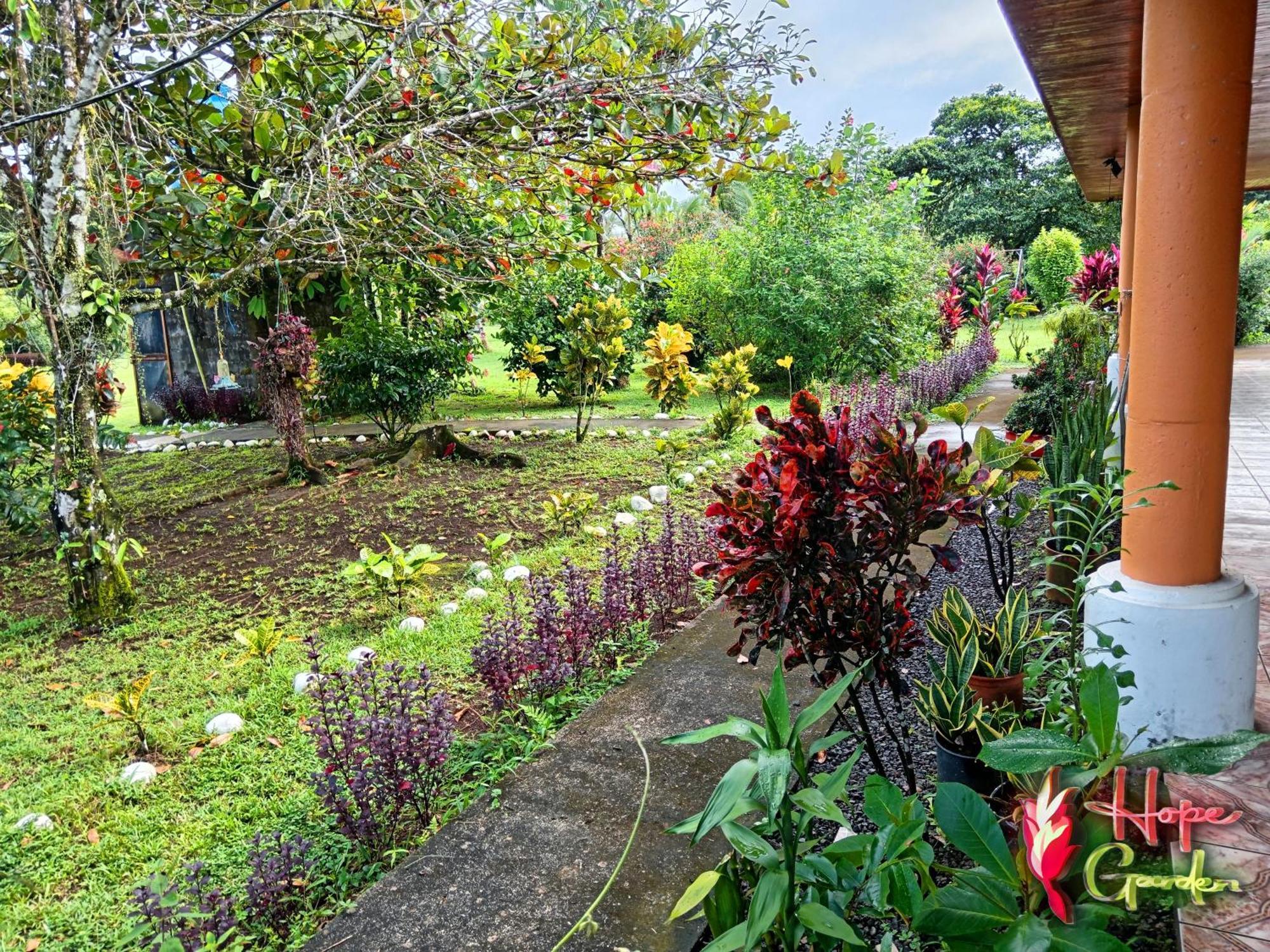 Hope Garden, Sarapiqui, We Connect You With The Sarapiqui Tropical Forest Ngoại thất bức ảnh